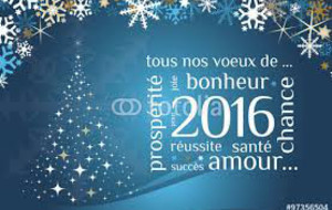 Bonne et Heureuse Année 2016