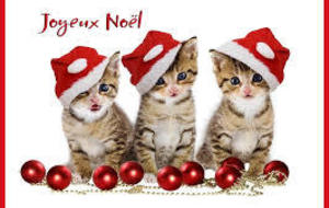Bonnes Fêtes de Noel 