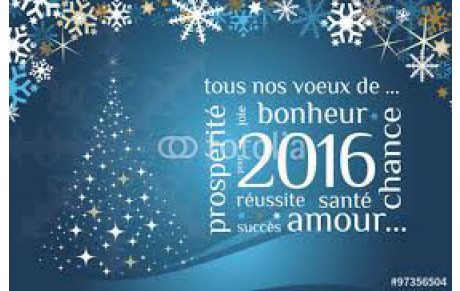Bonne et Heureuse Année 2016