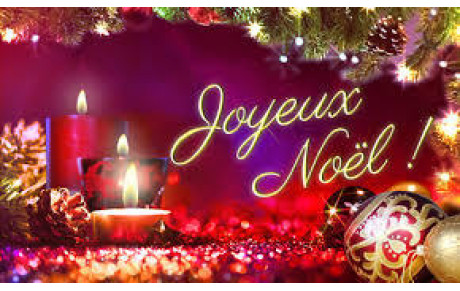 Bonnes Fêtes de Noel et de fin d'année