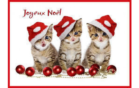 Bonnes Fêtes de Noel 